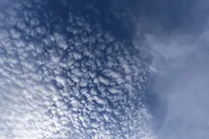 Blue Cloudy Sky Prints: Small fleecy clouds (Cirrocumulus)