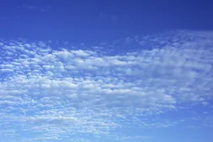 Full Frame Cloudy Sky Prints: Small fluffy clouds, Cirrocumulus