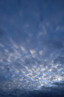 Deserted Evening Sky Prints: Small fluffy clouds, cirrocumulus