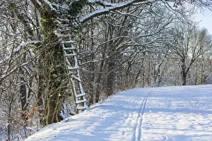 German Countryside Snowy Landscape Prints: Small path at the edge of a field