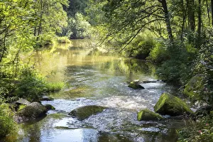 Deserted Creek Prints: Small rapids on a stream in summer