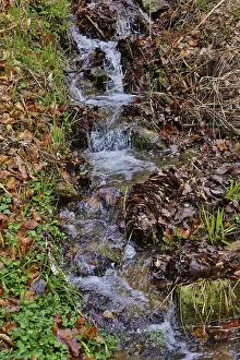 Small Stream Germany Prints: Small stream in early spring, Germany
