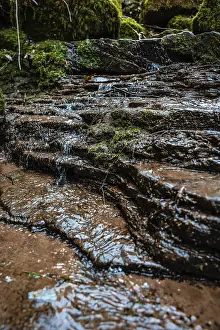 Schwarzwald Landscape Photo Prints: Small stream in the forest, Black Forest