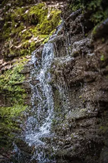 Black Forest Waterfall Prints: Small stream in the forest with waterfall