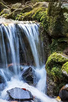 South American Wilderness Prints: Small stream and waterfall among the moss