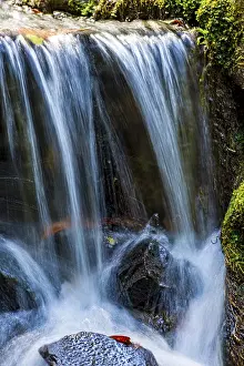 Mountain Torrent Scenery Prints: Small stream and waterfall among the moss