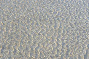 Norderney Island Germany Prints: Small waves on the sandy beach with light reflections