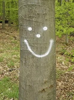 Wooded Countryside View Prints: Smiley, tree, log, forest, beech