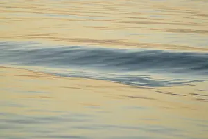 Smooth Water Surface Prints: Smooth wave in the water