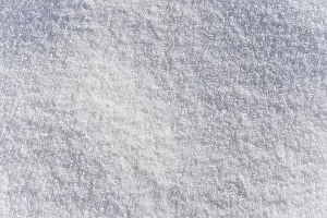 Snowy Landscape Print - Winter Scene