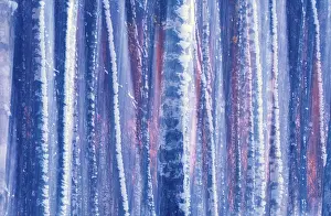Deserted Winter Landscape Prints: Snow covered trees