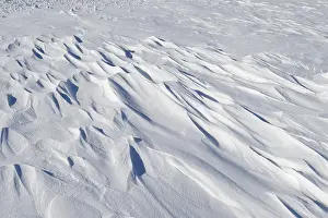 Travel Photography Canada Prints: Snowdrift pattern, Province of Quebec, Canada