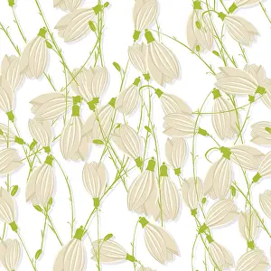 White Studio Background Image Prints: Snowdrop seamless pattern over white background