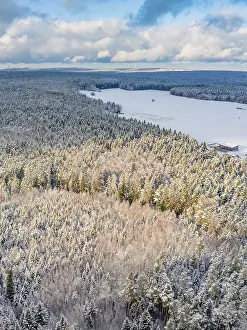 Southern Germany Winter Scenery Prints: Snowy forest with fields, blue sky with clouds