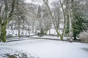 Southern Germany Winter Landscape Prints: Snowy park with bare trees and walking paths on a wintry day