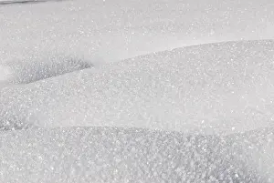 Frozen Winter Scene Prints: Snowy surface