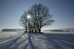 German Winter Scene Prints: SONY DSC