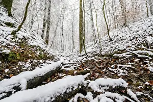 Northern German Winter Scenery Prints: Source of the Hunte river in Melle