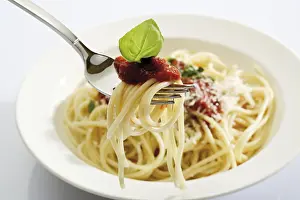 Grocery Store Foods Prints: Spaghetti Bolognese on a fork