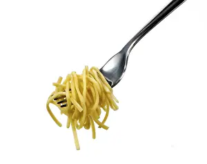 Studio Shot Of Spaghetti Prints: Spaghetti on a fork