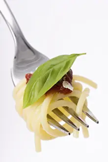 Food Photography Studio Setup Prints: Spaghetti on a fork over white background