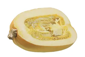 Spaghetti Squash and Pumpkin Print