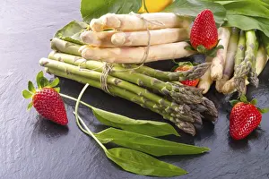Vegetable Plant Care Tips Prints: Spargel
