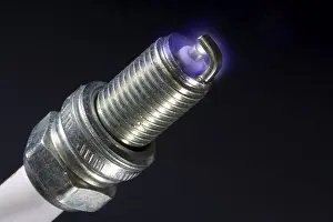 Single Object Photography Prints: Spark plug