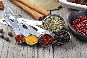 Meal Preparation Spices Prints: spices set isolated on a table