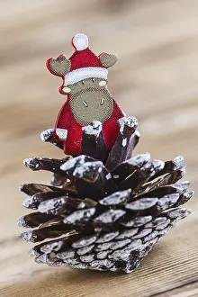 Prints of Spigot with moose Moose Prints: Spigot with Moose Print