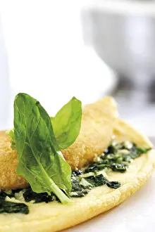 Vegetarian Egg Dish Prints: Spinach omelet
