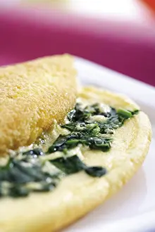 Studio Background Cuisine Prints: Spinach omelet