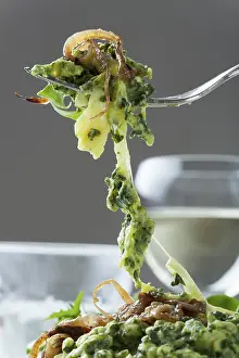 Food Photography Fork Prints: Spinach spaetzle on a fork