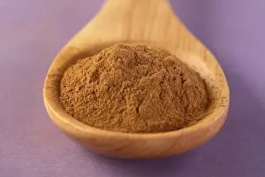 Asian Food Photography Studio Shot Prints: Spoon with cinnamon