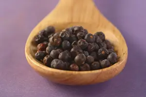 Wooden Spoon Studio Shot Prints: Spoon with juniper berries