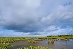 Black Point Wildlife Drive Prints: Sprawling marsh under a cloudy sky