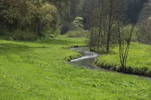 Bavaria Springtime Prints: Spring in the AufseB valley
