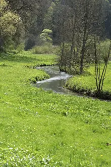 Deserted Rivers In Europe Prints: Spring in the AufseB valley