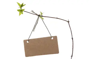Bright White Background Prints: Spring branch with blank tag tied with string