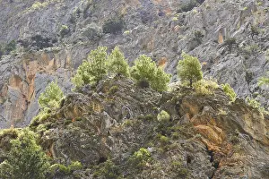 Greek Island Photography Prints: Spring in Crete, backlight, rocks