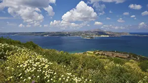 Blue Sky Greece Prints: Spring in Crete, spring meadow