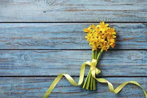 Spring Awakening Blooms Prints: Spring daffodil flowers on blue rustic background
