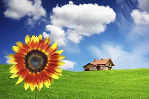 Agricultural Property Prints: Spring House