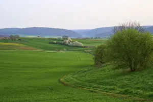 Southern Germany Countryside Scene Prints: Spring landscape with green fields
