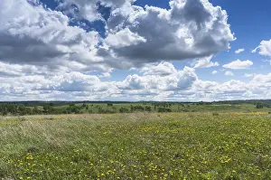 Rural Landscape Prints: Spring meadow with clouds floating over it