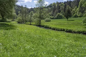 Central Europe Springtime Photos Prints: Spring meadow with river course in AuseBtal