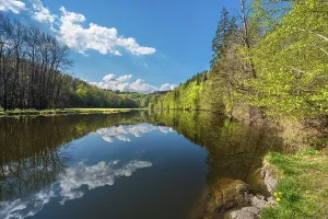 Overcast Sky Reflections Prints: Spring on the river Saale, green forest and clouds are reflected
