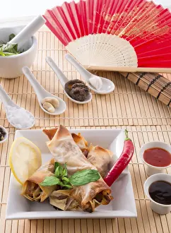 Healthy Noodle Dishes Prints: Spring roll