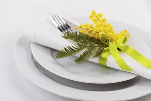 Gastronomy Meal Setup Prints: Spring table setting with mimosa