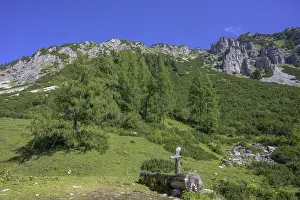 Styria Austria Prints: Spring trough and Raidling in the background